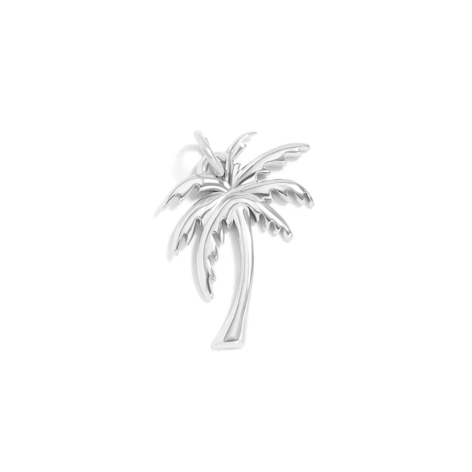 Palm Tree